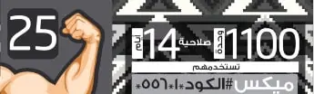 كارت 25 اتصالات